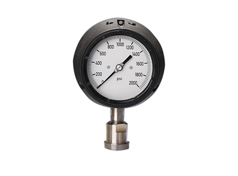 Process pressure gauge PG421OV