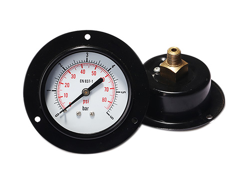 Front flange mounted general pressure gauge EPG221DHF