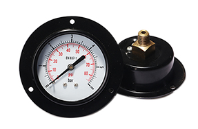 Front flange mounted general pressure gauge EPG221DHF