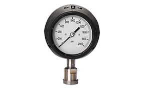 Process pressure gauge PG421OV