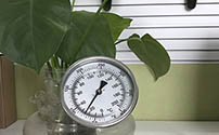 6 ways to choose the thermometer